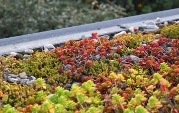 the cost of Codnor Park green roof installation