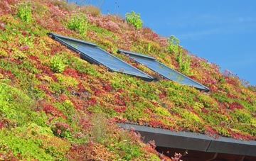 Codnor Park living roof systems